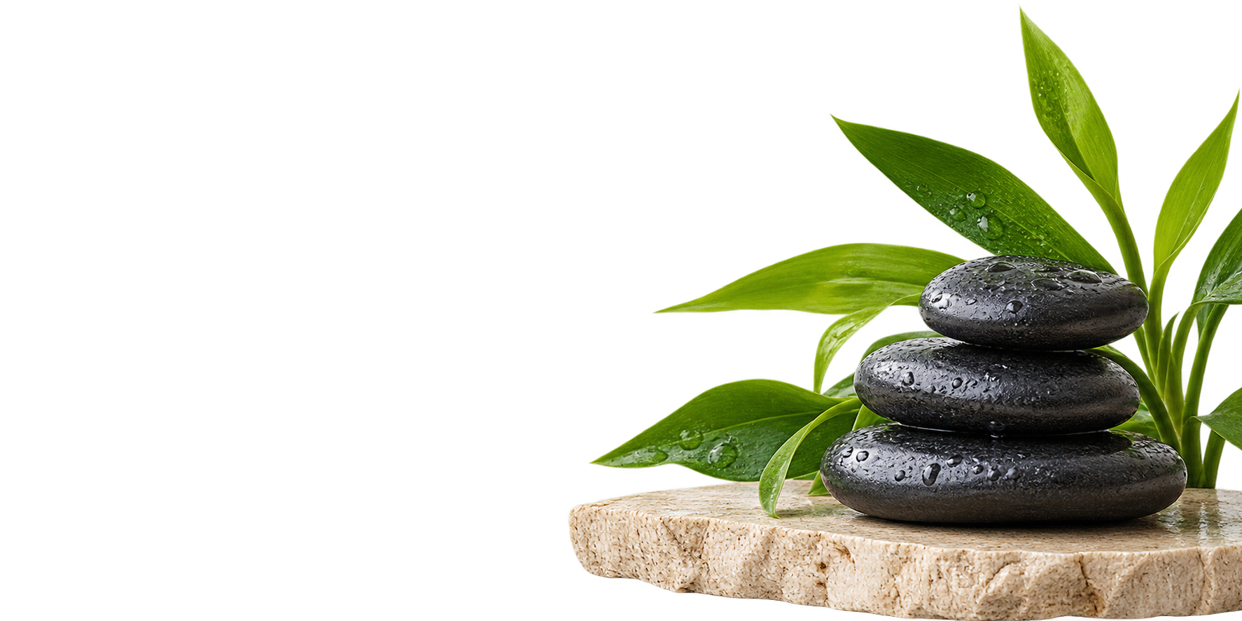 Black spa stones and fresh green leaves